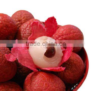 Canned Lychee Good Gift for Festival Rich in High Nutrition photo-2
