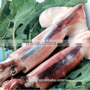 Frozen whole round squid