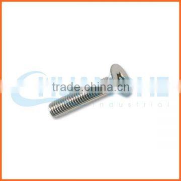 China supplier plastic cap head anti-theft screw