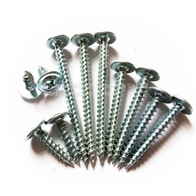 Flange Head Wafer Self Tapping Screws Phil Cross Recess H Drive Sharp Point Screw Manufacturer OEM/Custom