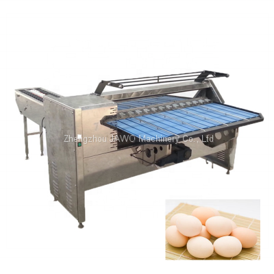 Hot Selling Egg Grader Machine Egg Sorting Machine Egg Grading Machine For Sale photo-5
