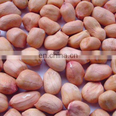 Blanched Peanuts 25/29 29/33 35/39 36/41 41/51 51/61 photo-5