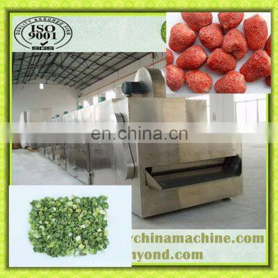 Tunnel Belt Dryer for Dehydrating Vegetable and Fruit photo-3