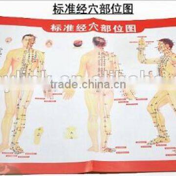 Chinese Medical Acupuncture Charts Points (Front, Side, Reverse Side) photo-1