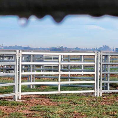 High Security Cattle Feedlot Panels Cattle Panels Wholesale