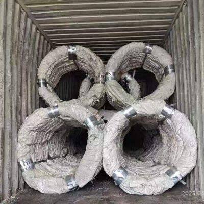 Galvanized PVC Stainless Steel Concertina Razor Blade Barbed Wire Bto-22 Bto-60 Cbt-65 Fencing Wire Price