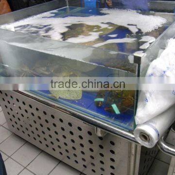 APEX Supermarket Large Commercial Glass Fish Tank photo-5
