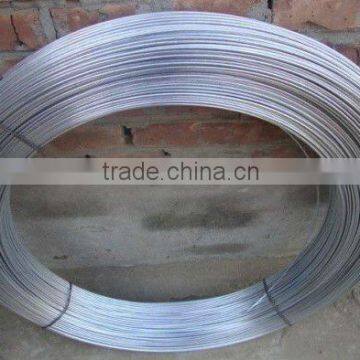 Oval galvanized steel wire