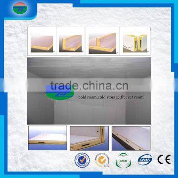 New Arrival special discount cold room polyurethane ceiling panel