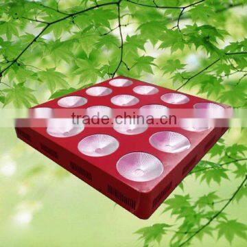 plant lighting 16 cob grow light greenhouse full spectrum 1000 watt led lights
