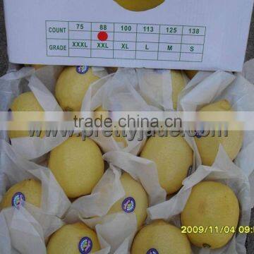 2014 new fresh pomelo