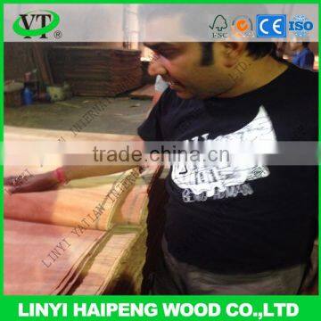 natural D grade keruing/gurjan face veneer 8x4 ft 0.30mm for making plywood face