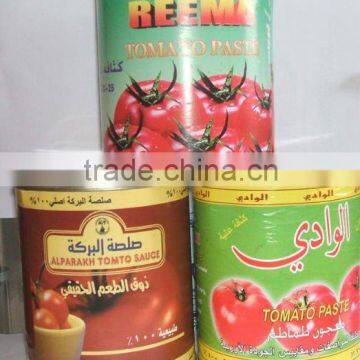 1000G Tomato Paste to Tamato Sauce
