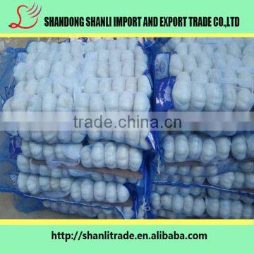 Pure White Wholesale Natural Garlic/garlic Powder/fresh Garlic Chinese photo-6