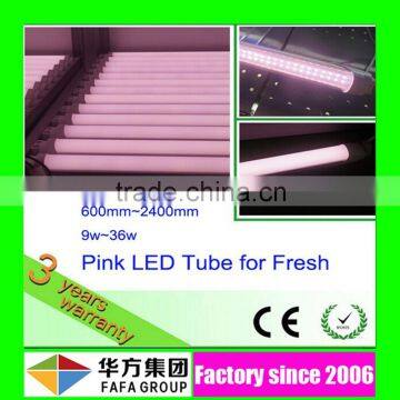 CRI>80 PF>0.95 high quality t8 pink led tubt8 led tube 8 school with CE ROHS