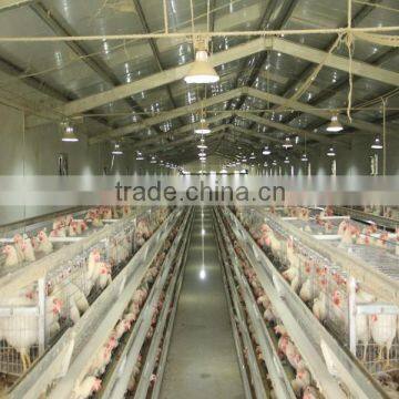 Best Selling Hen House Design With Full Automatic System photo-4