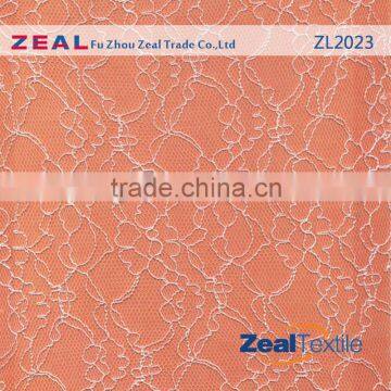 French Nylon Raschel Knitted Lace Fabric for Clothing