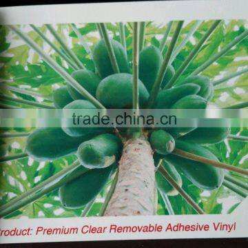 Premium Clear Removable Adhesive Vinyl PVC