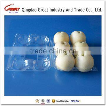 Clear Plastic Kiwi Fruit Packaging Plastic Box PET Plastic Packing Container photo-6