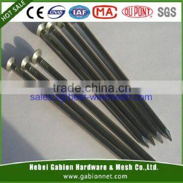 High Quality 1/2" to 10" Common Nail(BV, CE, SGS, ISO Certificate)