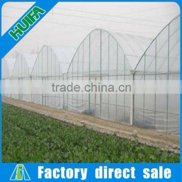 Multi-span Plastic Film Greenhouse and Forever Flowering Auto Blackout Greenhouse photo-6