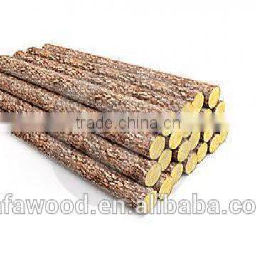 FSC RADIATA PINE PULP WOOD LOGS