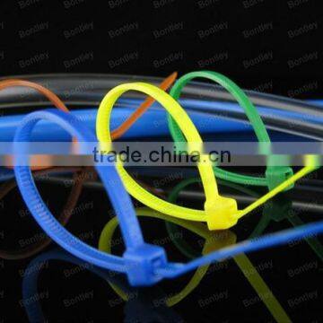 Stainless Steel Barb Locking Nylon Cable Ties