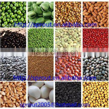 Black Bean Machine photo-4