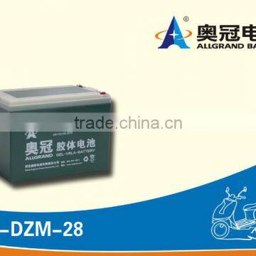 three wheel electric scooter battery 12v 28ah/E-bike battery/golfcart battery