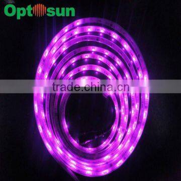 2012 HOT SALE dream color rgb led strip from OEM Manufacturer