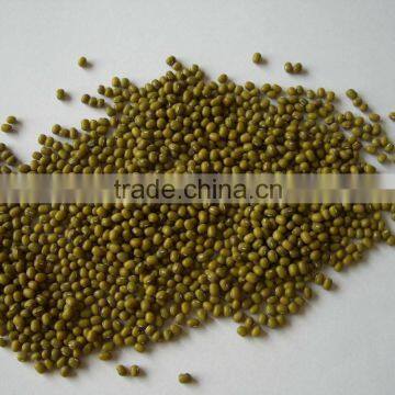 Mung Bean