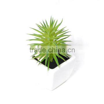 15cm Special Artificial Succulent in Ceramic Pot