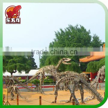 Walking Dinosaur Skeleton