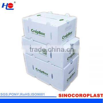 FDA PP Fruit Packaging Box/Case