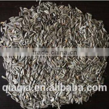 Sunflower Seeds for Bird Food Hot Sale