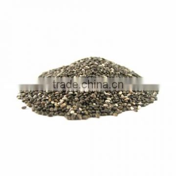 Chia Seeds - Paraguay