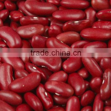 Chinese Red kidney bean, british type