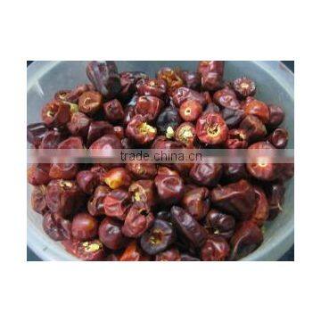 Round Red Chilli photo-3