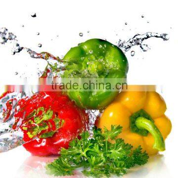 sweet pepper/colorful pepper