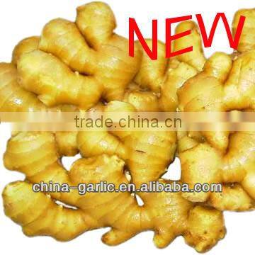 China Dried Ginger Price ( best quality)