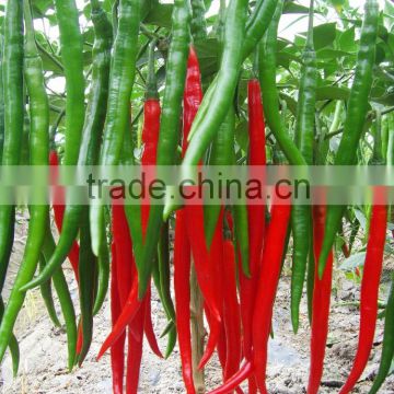 Hybrid green red chilli pepper seeds for sale-Te La No.2