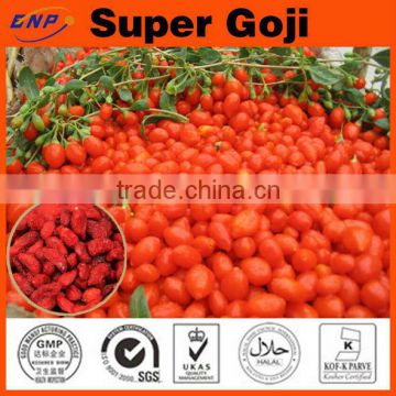 BNP supplies 100% Natural High Quality Dried Goji Berries