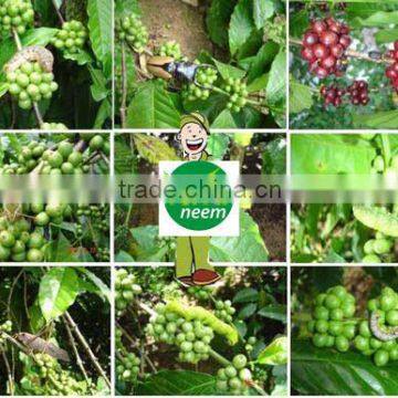 Pure Neem Oil Price photo-3