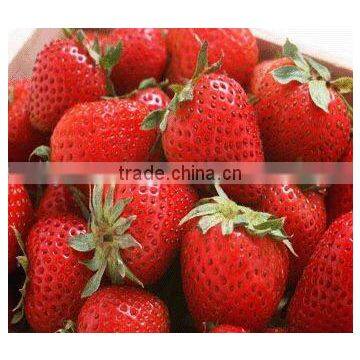 100% Natural Strawberry Juice Powder ISO, GMP, HACCP, KOSHER, HALAL Certificated Manufacture photo-2