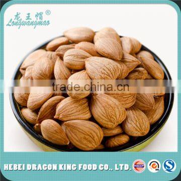 Conventional Apricot Seeds