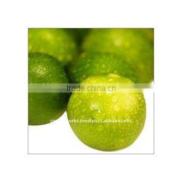 100% Pure Natural Lime Oil(Citrus aurantifolia)Essential Oil