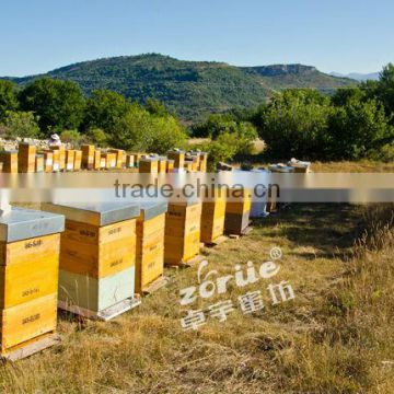 aluminum covered customizable beehive offerd by manufacture