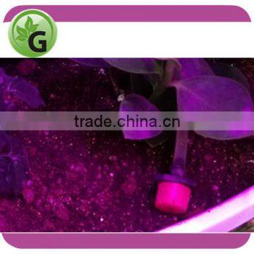 irrigation adjustable emitter for strawberry