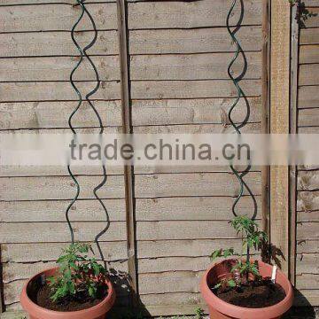 tomato spirals wire