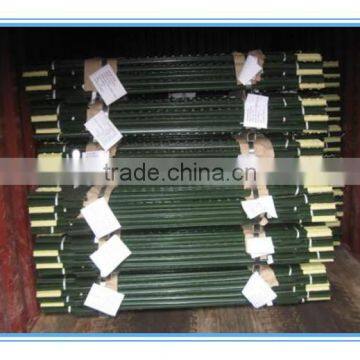 Best Selling Studded T Post Grape Stake photo-5